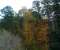 Fall Color In The Valley 1