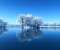 Winter Lake