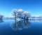 Blue winter lake