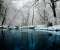 Winter Scenary