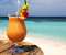 Exotic Winter Holiday