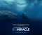 Big Miracle