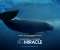 Big Miracle Movie