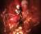 Devil May Cry Red