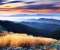 Drygrass