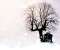 Winter Church
