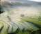 Bali Rice Fields