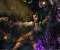 Torchlight