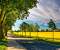 Spring Road