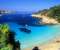Exotic Bay