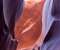 Antelope Canyon Colors
