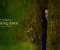 Bella - Breaking Dawn Part 2