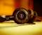 Earphone