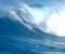 Surf