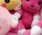 Teddys