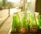 Brands_coca Cola