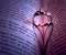 Ring On Book