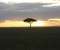 Africa