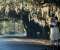 The Lucky One Movie