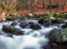 Cuha Brook wallpaper