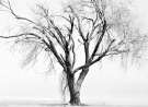 Deserted wallpaper