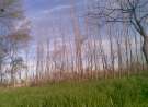 Village saywan 1 wallpaper