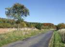 Autumn Roads 2- Czech wallpaper