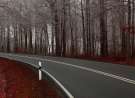 Autumn Road wallpaper