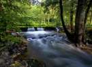 Vegetation And Waterfall wallpaper