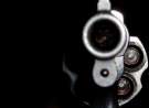 Silver Gun wallpaper