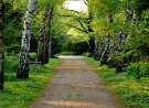 Calm and Sorrowful wallpaper
