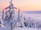 Ylläsjärvi wallpaper