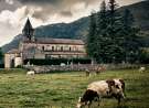 Abbaye wallpaper