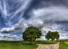 Cross Roads wallpaper