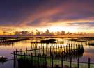 The Qigu Lagoon wallpaper