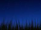 Android 3.0 Night Wallpaper wallpaper