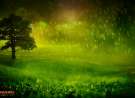 Greeny Droplets wallpaper