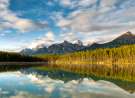 Herbert Lake wallpaper