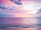 Blissful Paradise wallpaper