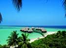 Coco Palm And Beach wallpaper