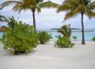 Maldives Coco Palms wallpaper