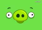 Angry Birds Happy Pig wallpaper