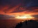 Evening In Coco Palm wallpaper