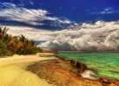 Beautiful Summer wallpaper