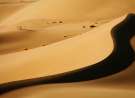 Desert Dune wallpaper
