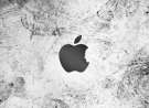 Thank You, Steve. wallpaper