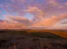 Majestic Clouds above Golden Blades of Grass wallpaper