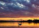 Sunset on Fire wallpaper