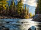 Along the River wallpaper