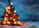 Christmas Tree Outside wallpaper
